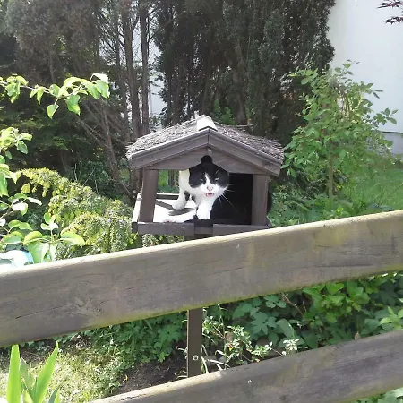 Privatunterkunft Halebaja *